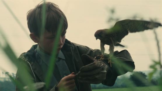 un niño con un halcón en la mano