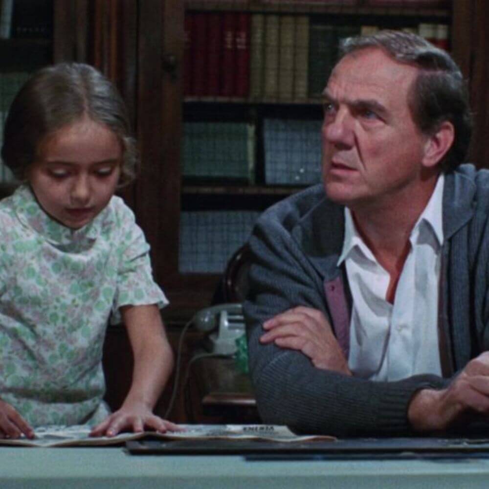 El gato de las 9 colas