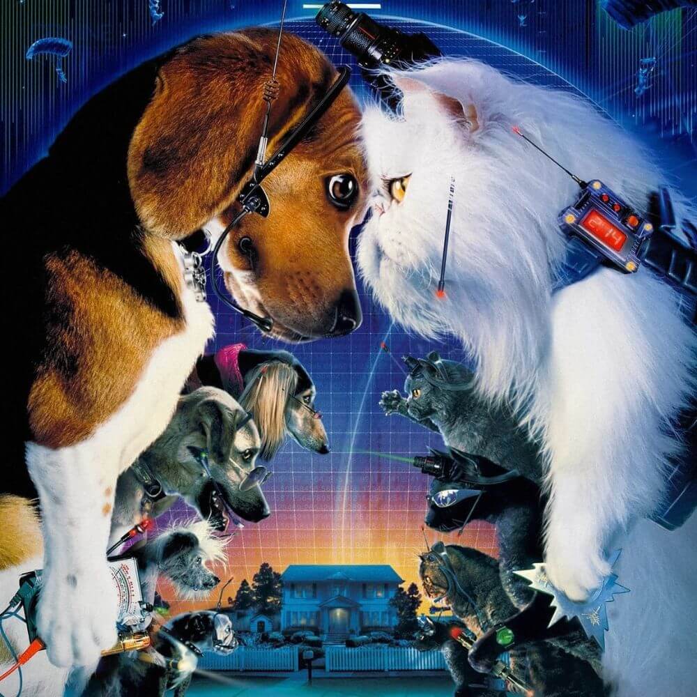 Como perros y gatos 