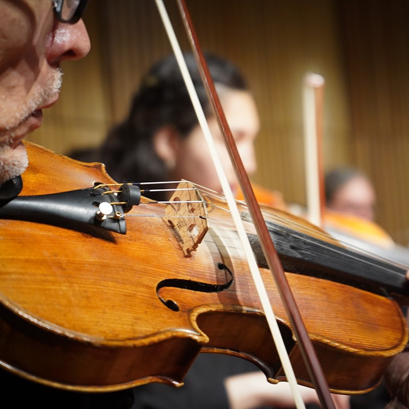 Instituto de Música - IMUC