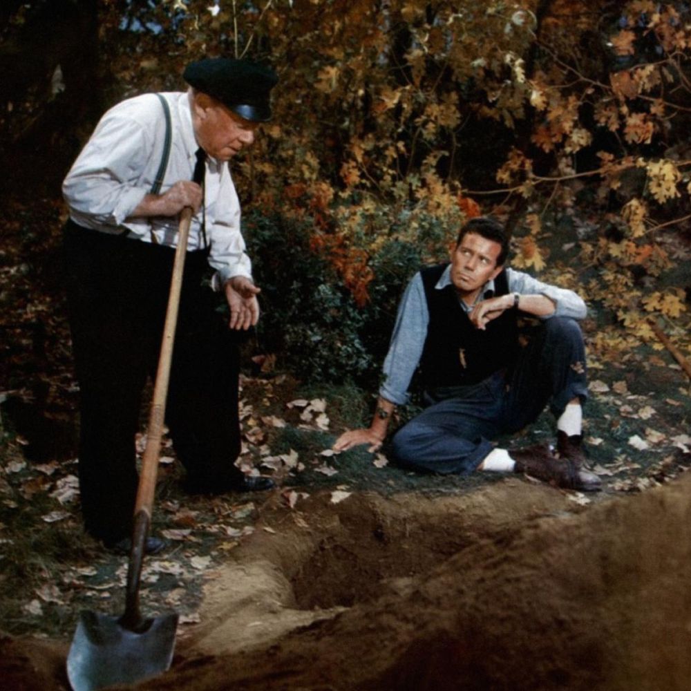 Pero… ¿quién mató a Harry?  