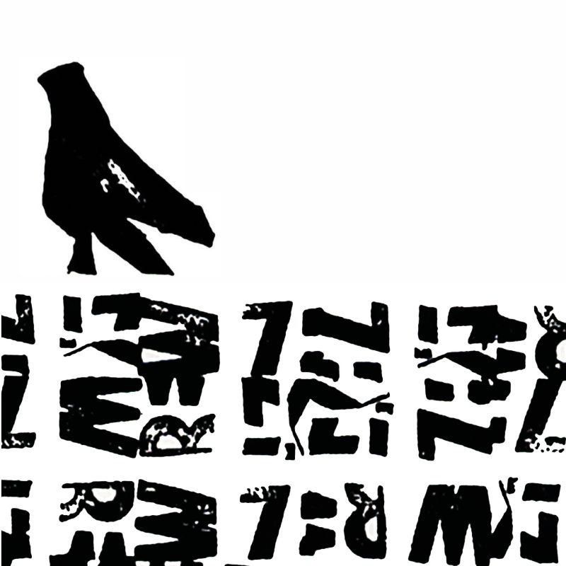 7° Festival de libros “Ida y vuelta” 