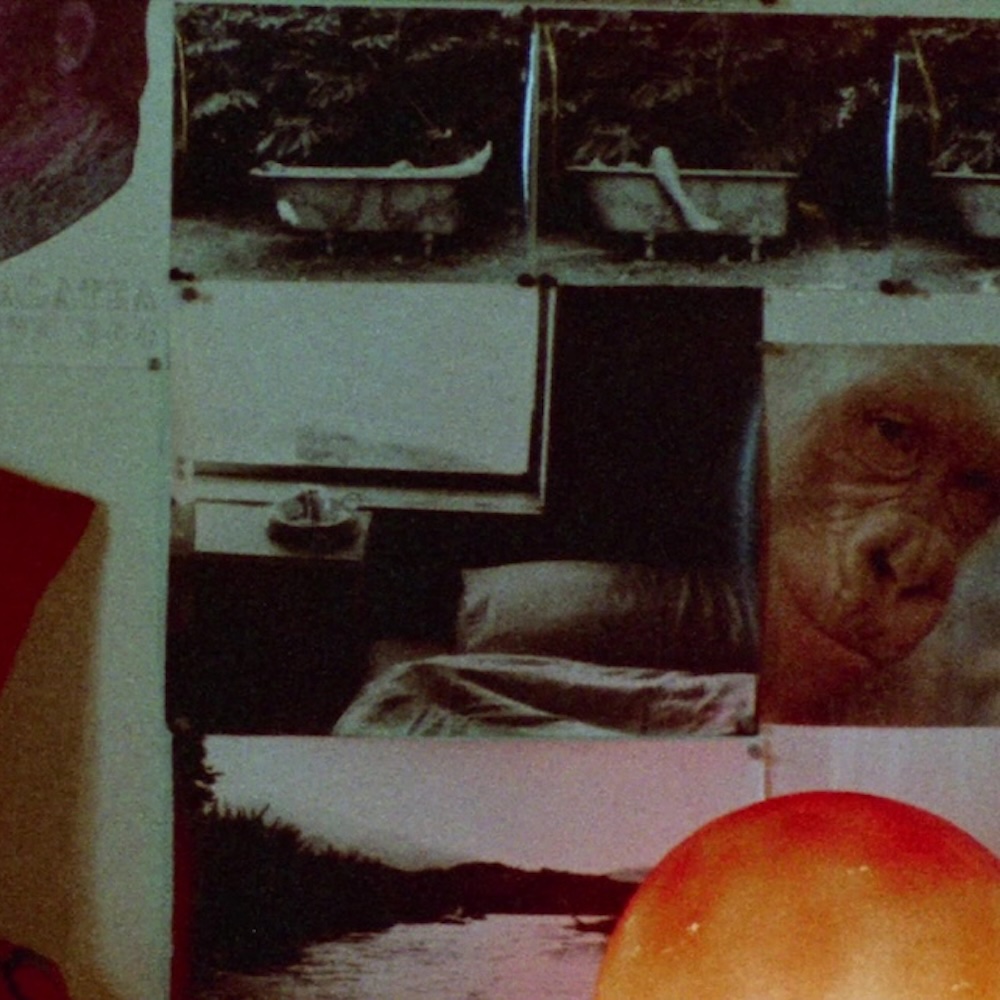 Carta blanca Jessica Sarah Rinland: 6 cortos de Narcisa Hirsch